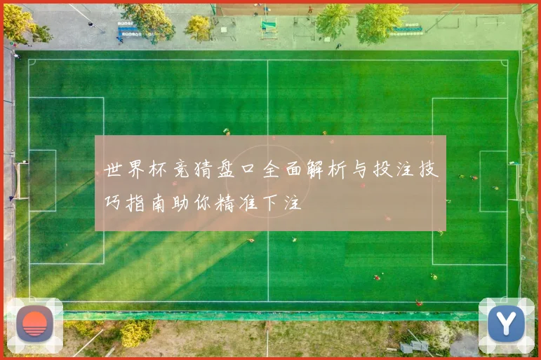 世界杯竞猜盘口全面解析与投注技巧指南助你精准下注