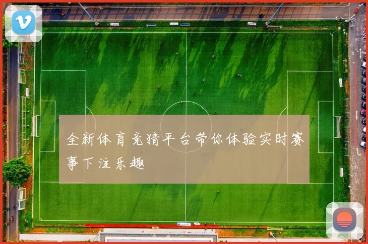 全新体育竞猜平台带你体验实时赛事下注乐趣