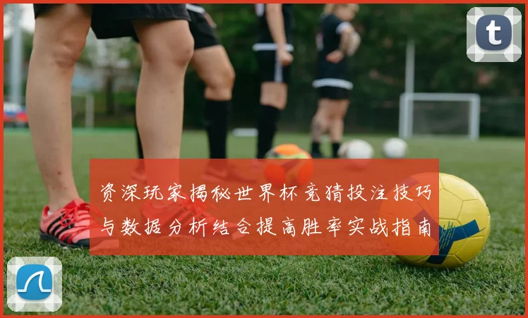 资深玩家揭秘世界杯竞猜投注技巧与数据分析结合提高胜率实战指南